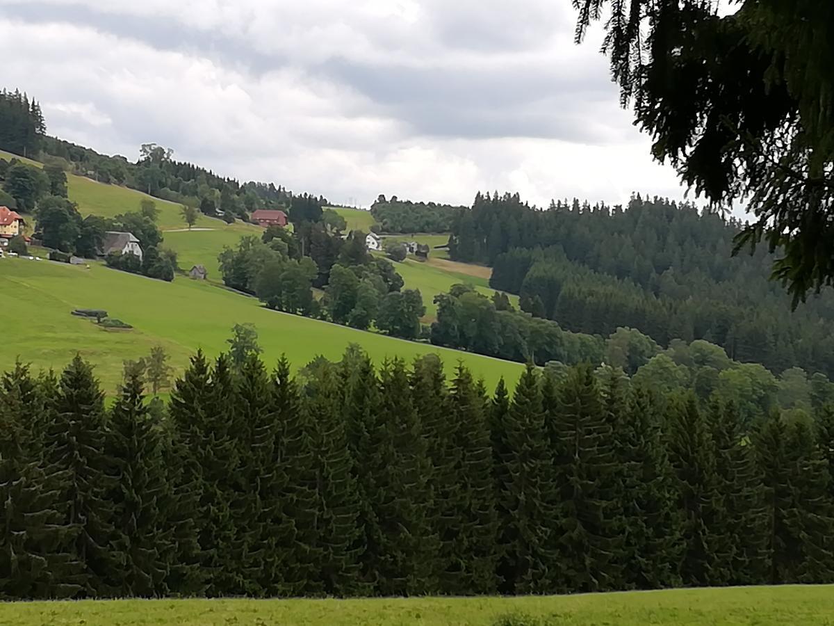 Schwarzwaldgasthaus Salenhof Titisee-Neustadt Exterior foto
