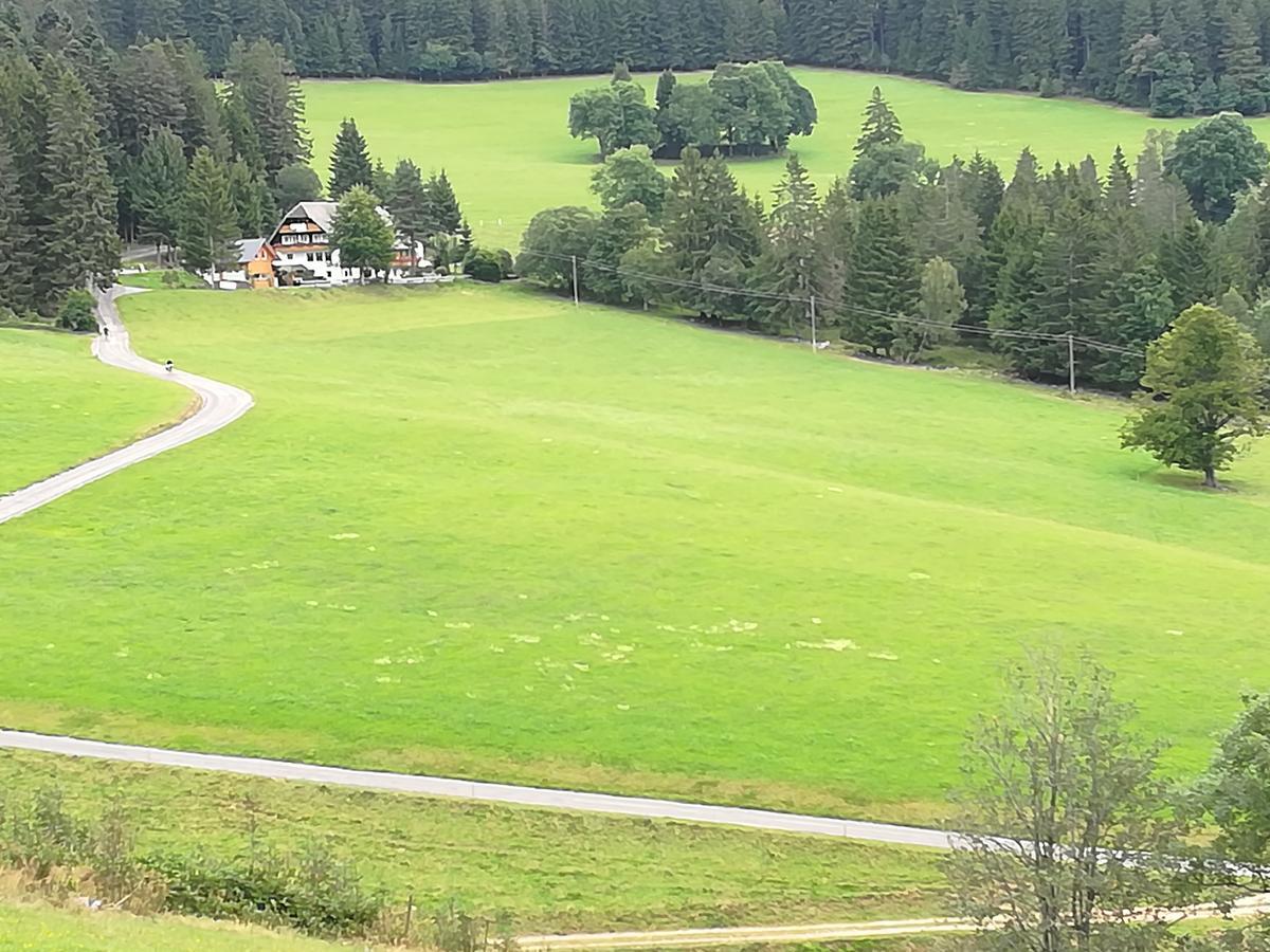 Schwarzwaldgasthaus Salenhof Titisee-Neustadt Exterior foto